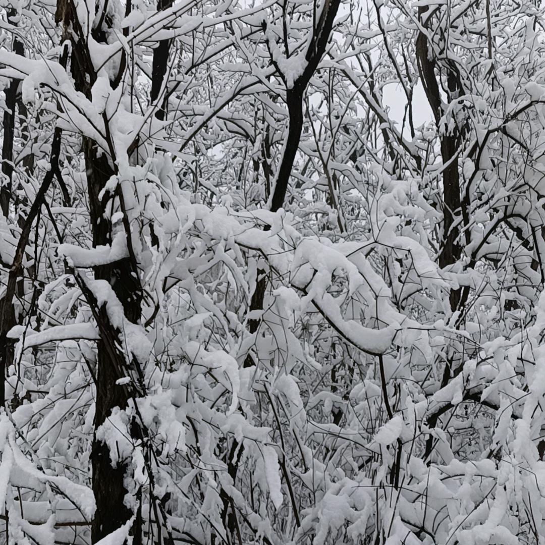 等你等了那么久