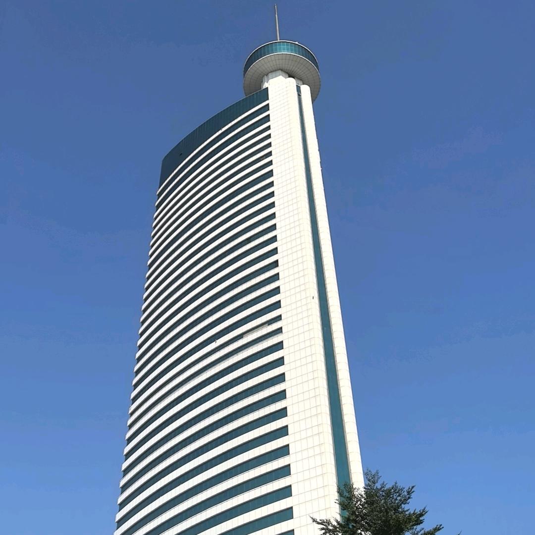 天天去浪漫(冬眠中)