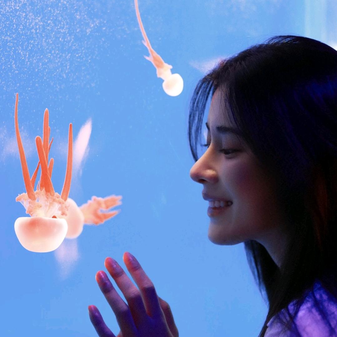 可云发疯但社恐