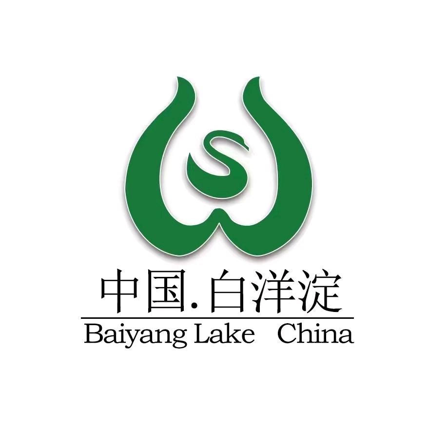 白洋淀