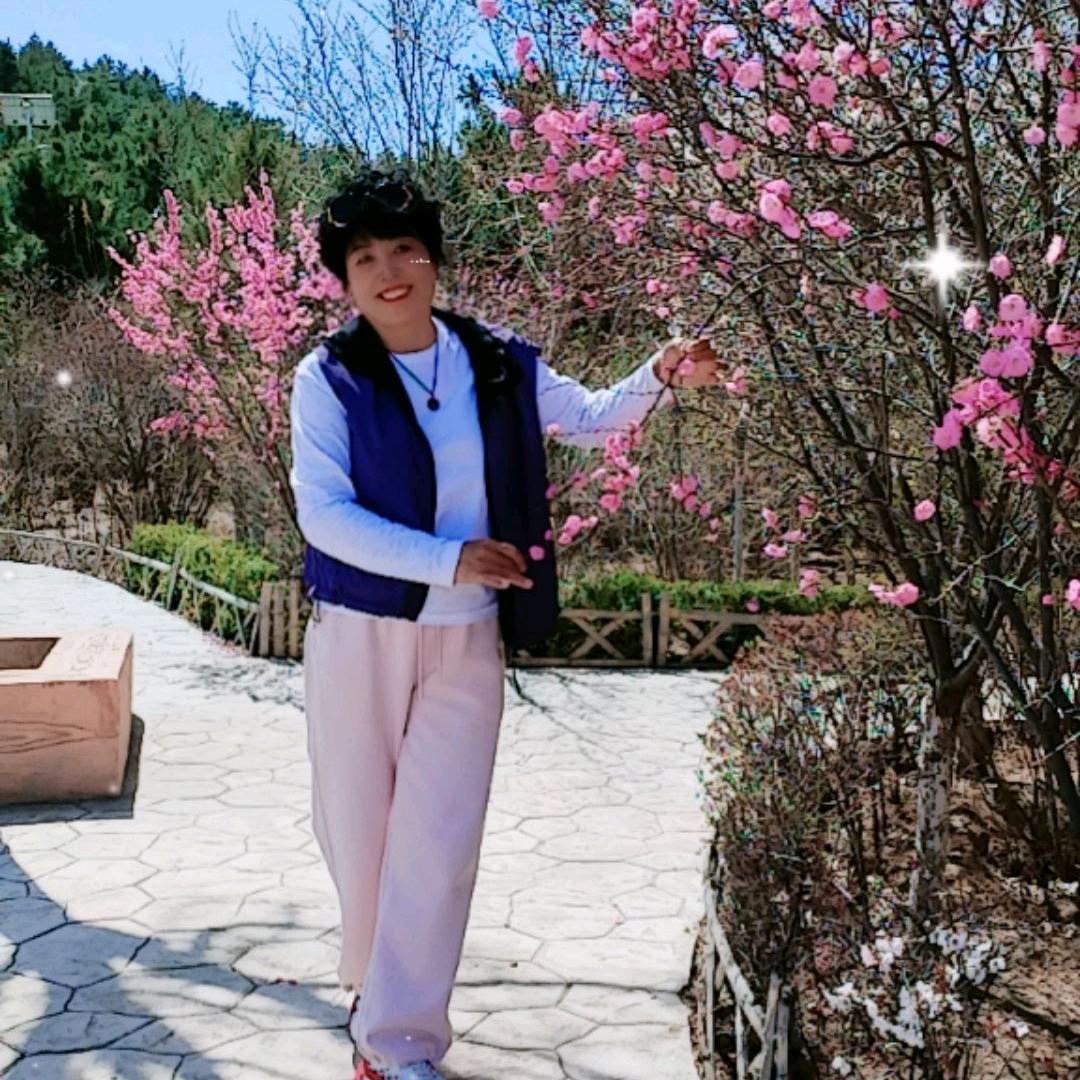 小蜜蜂