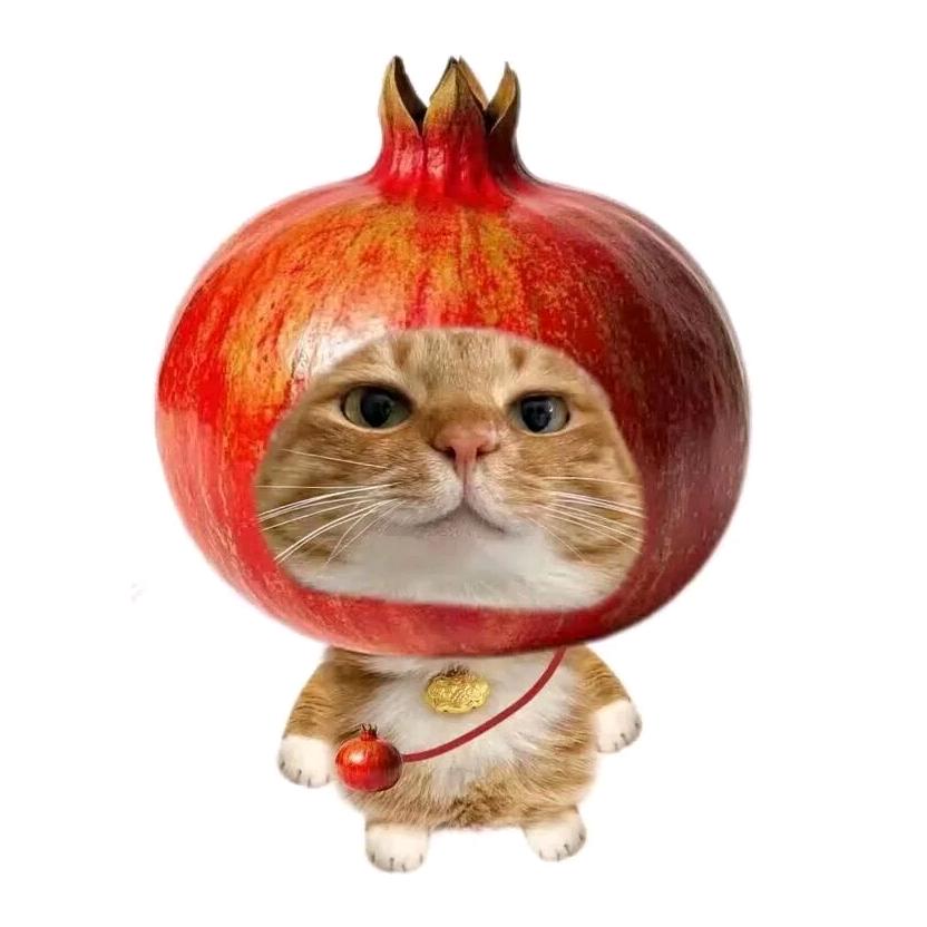 小̽迟̽春̽日̽.̽