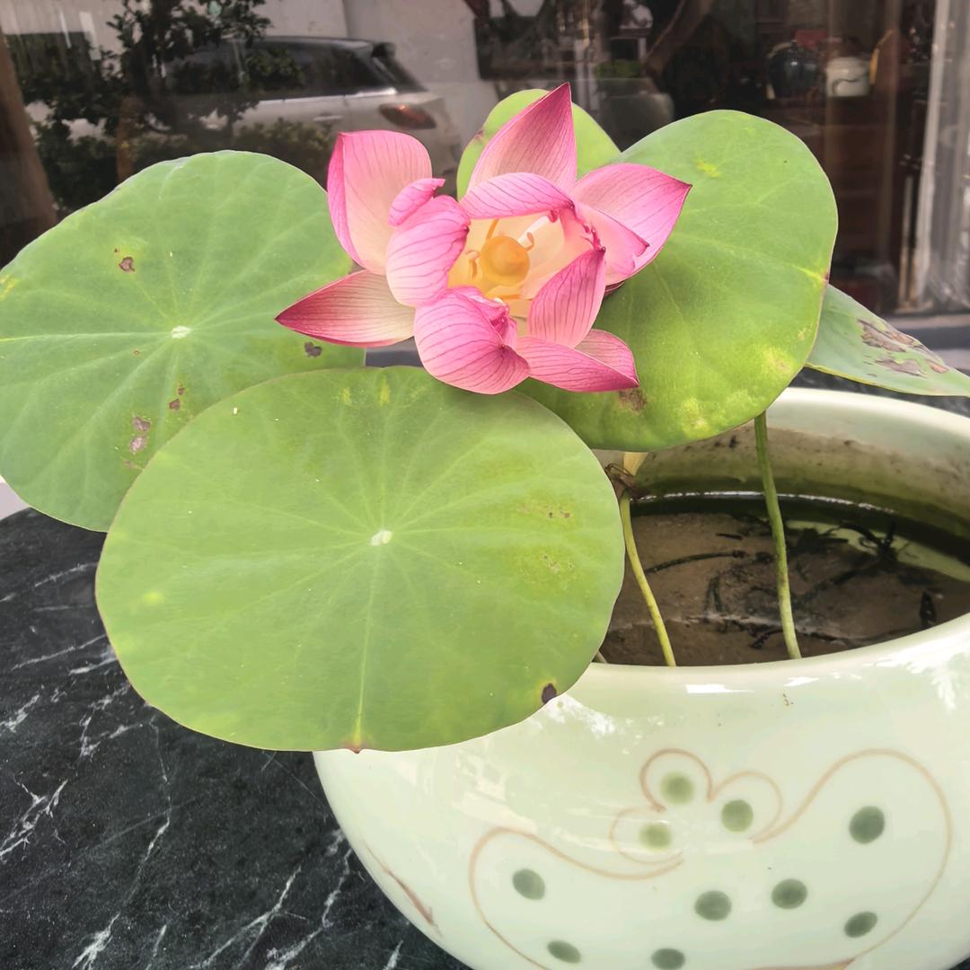 汇琛源
