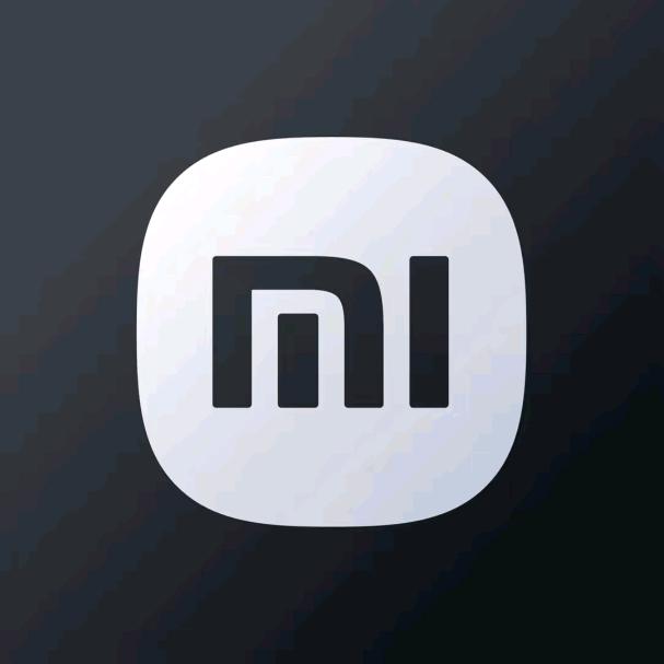 小米汽车｜武汉黄浦徐徐