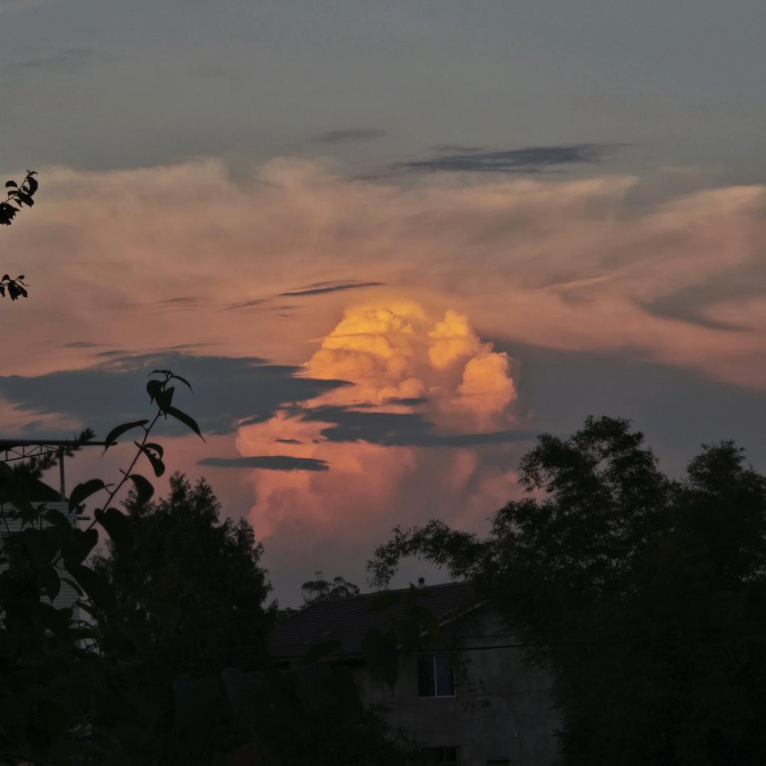回不到重庆，每天哭一次