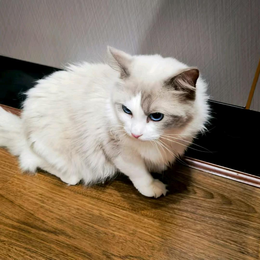 小龙女