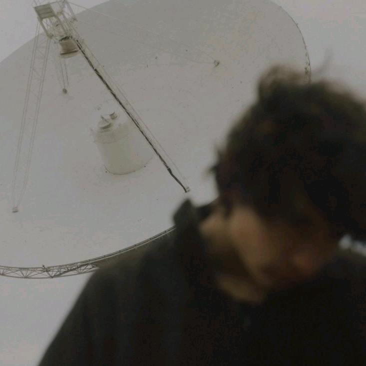 就来人间凑个数