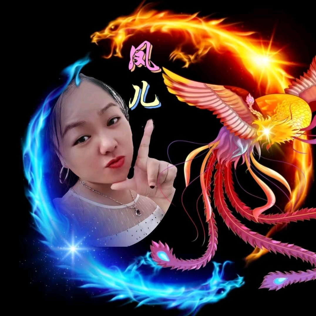 ￥￥凤儿