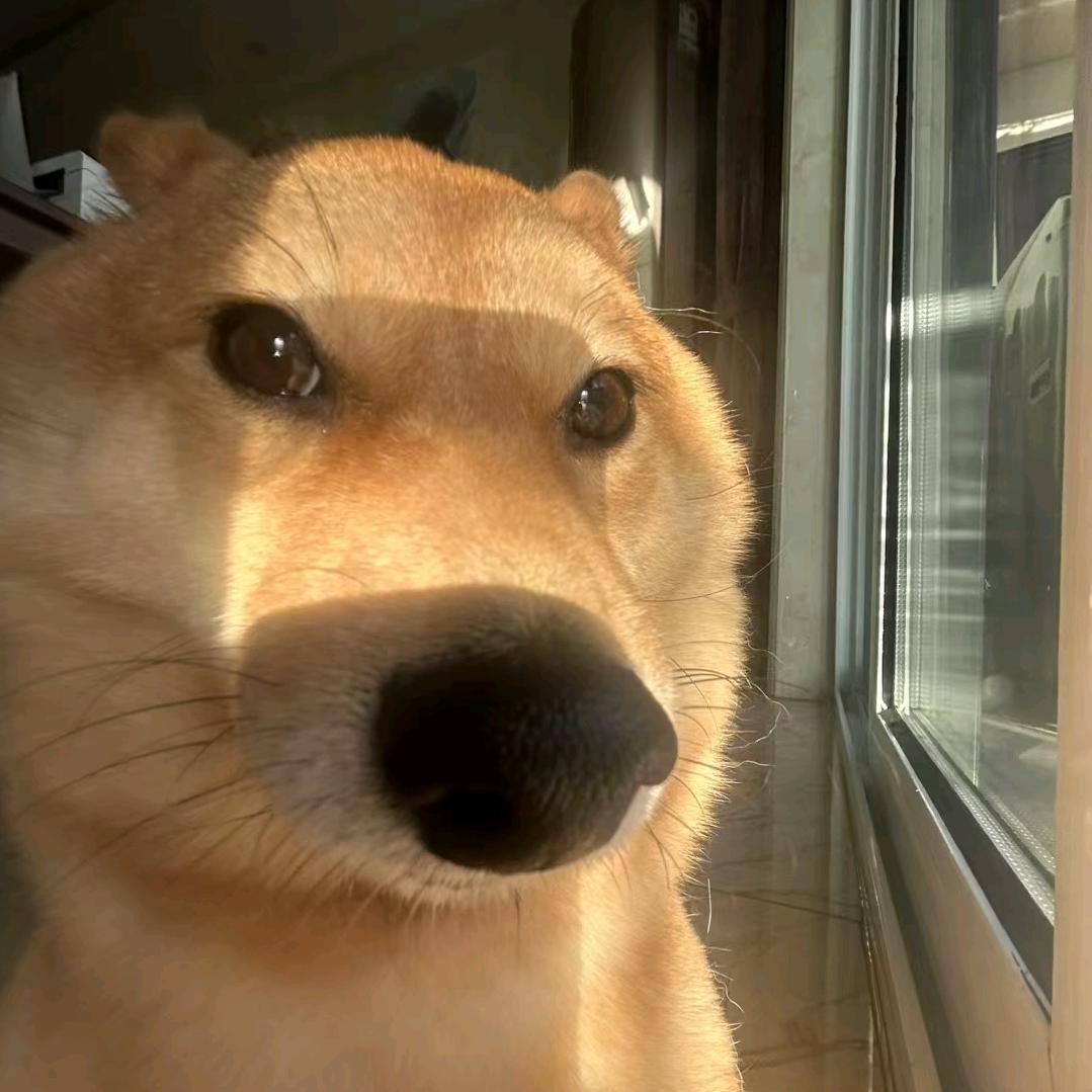 云澈