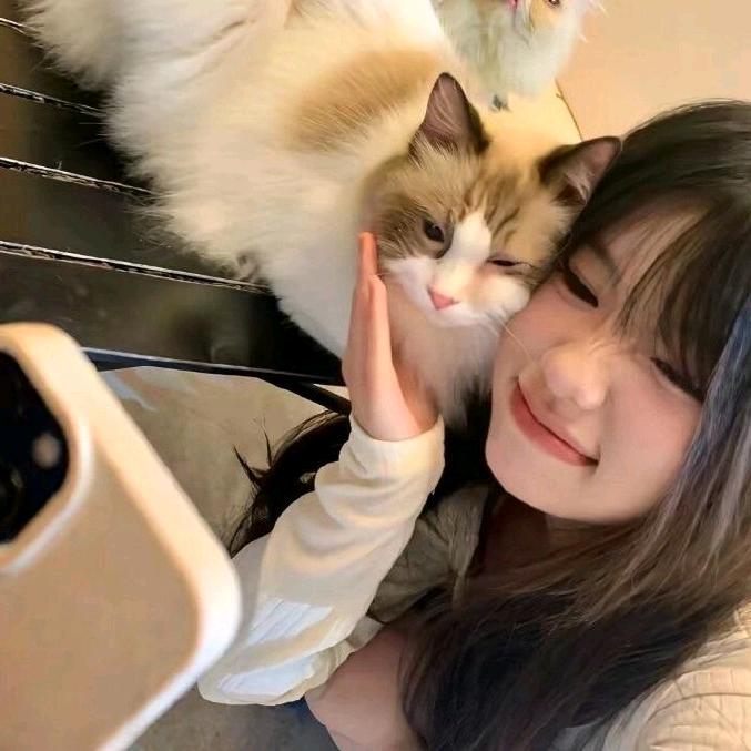富盈甄选