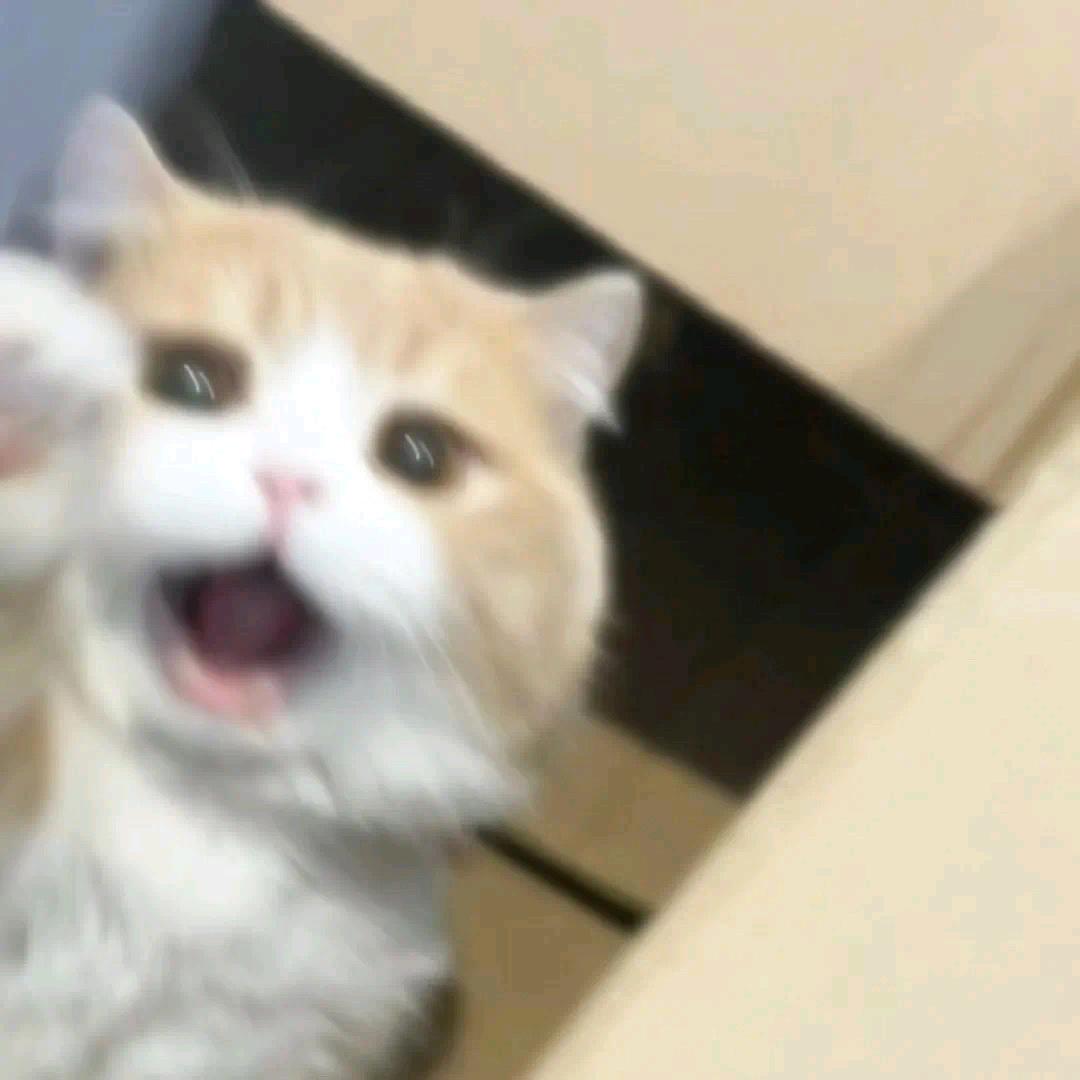 麦当劳含宝