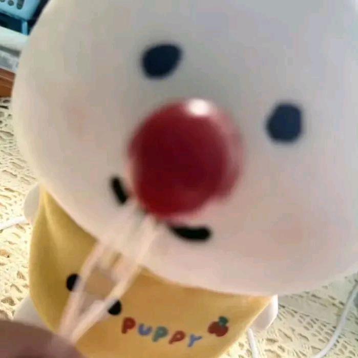 55537