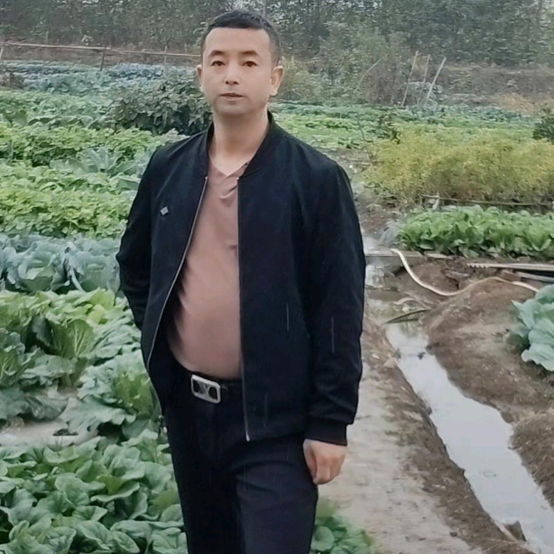 邹哥