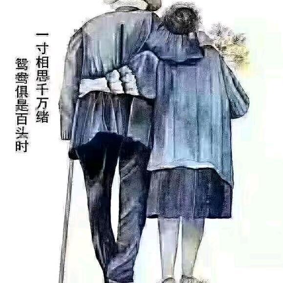 文文