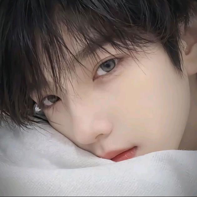 Prince-H