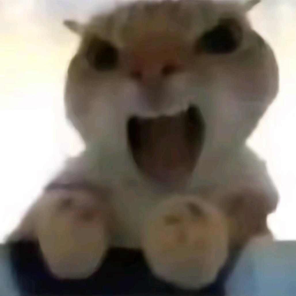 zzzping_an