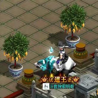 问道_明哥