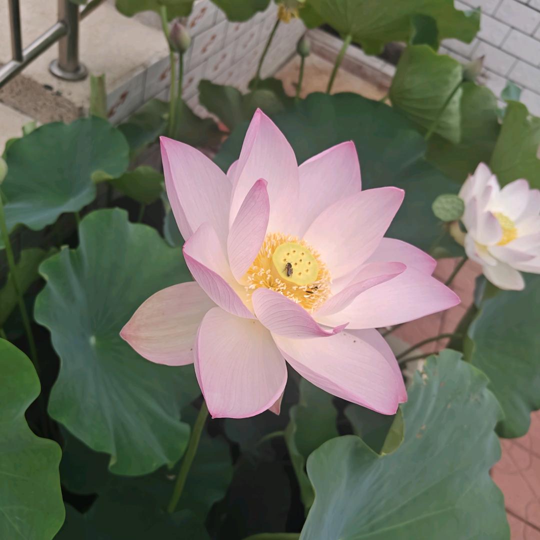 一生相伴，