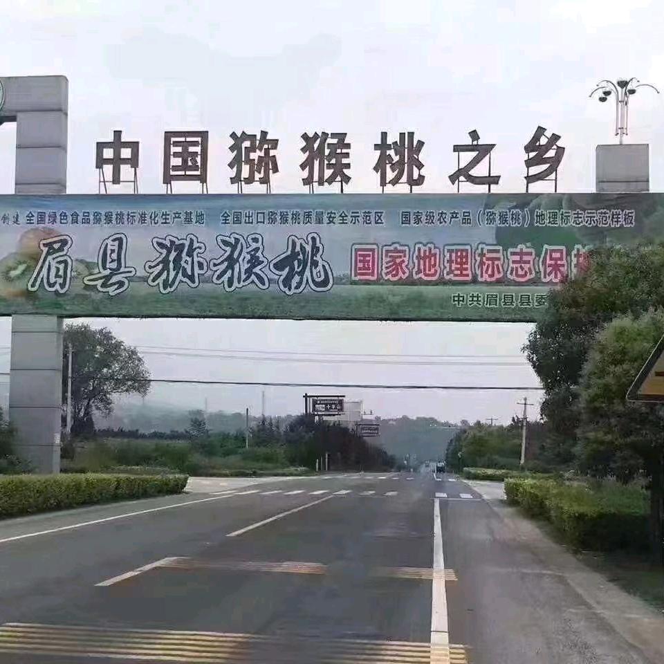 生命的意义在于生