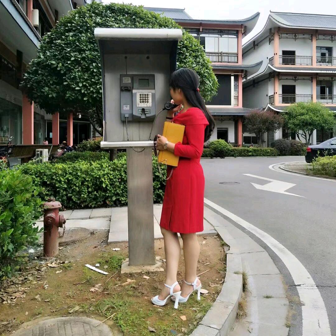 ♥  芸