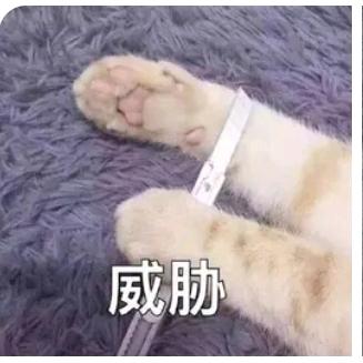 战斗吧精灵阿这