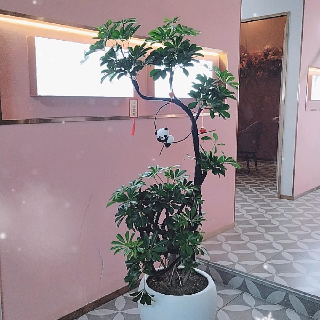 维可芙罗庄店