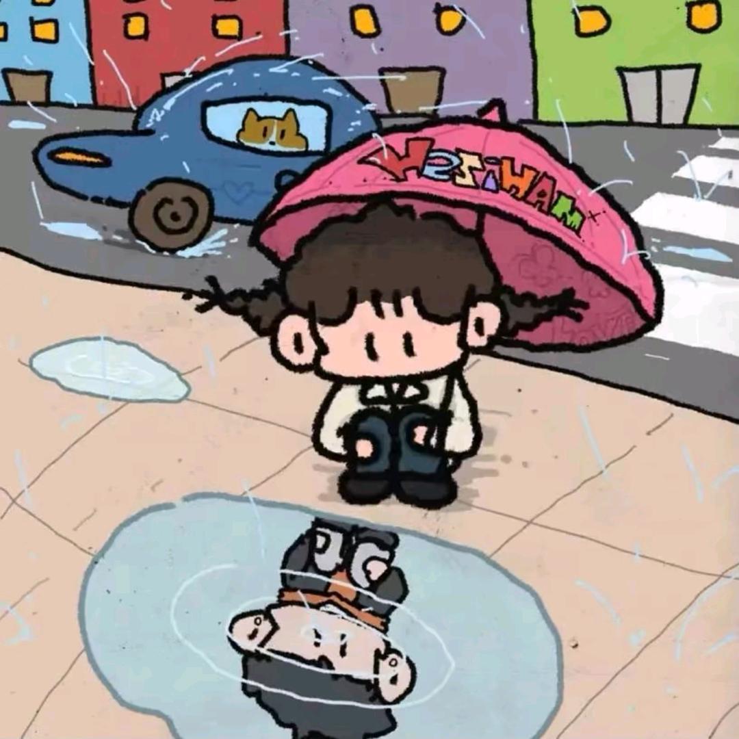 半只猫