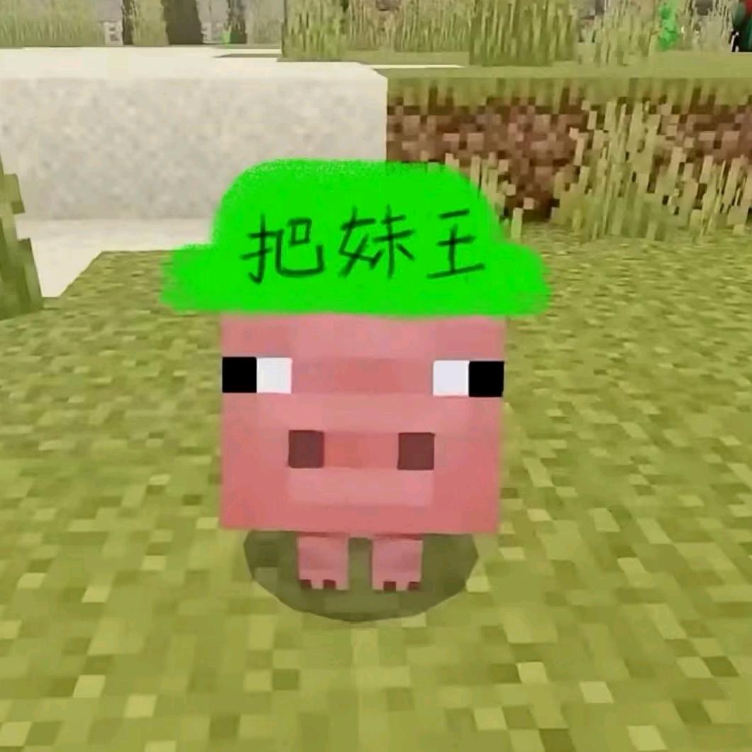 芽芽