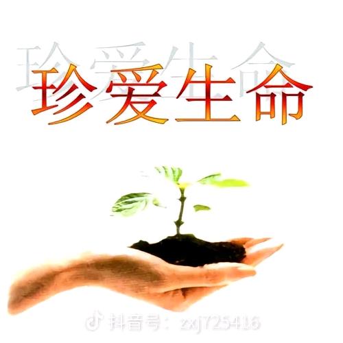芭比Q