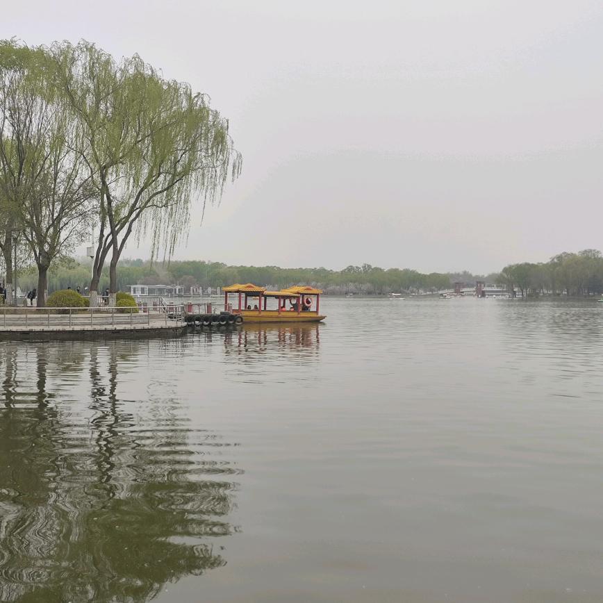 一染小白