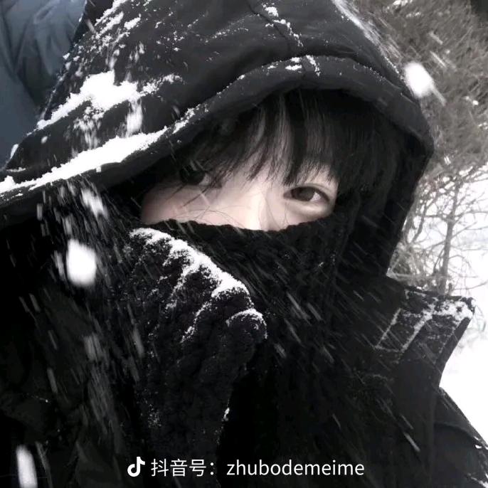 站在高山看风景