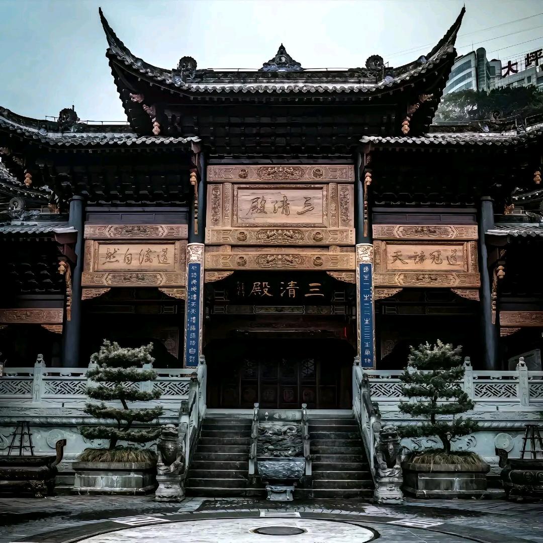 麦盛康哥智慧说