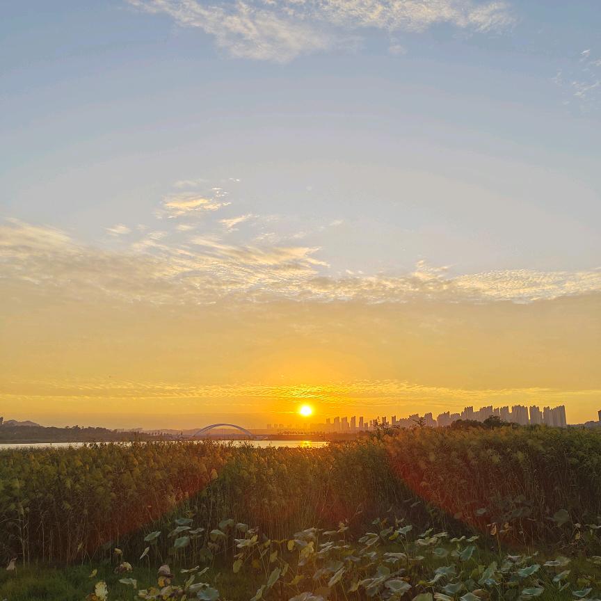 💃默🌝᭄言✨