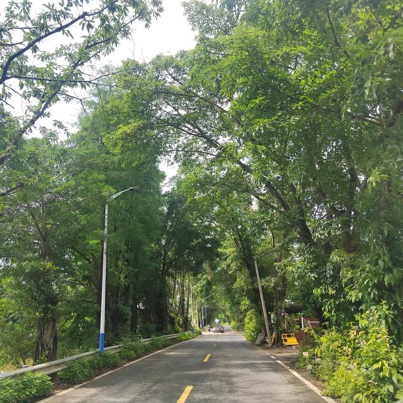 ℘珎᭄ᩚ꯭ᩚ꧔ꦿ嘻᭄꧔࿐