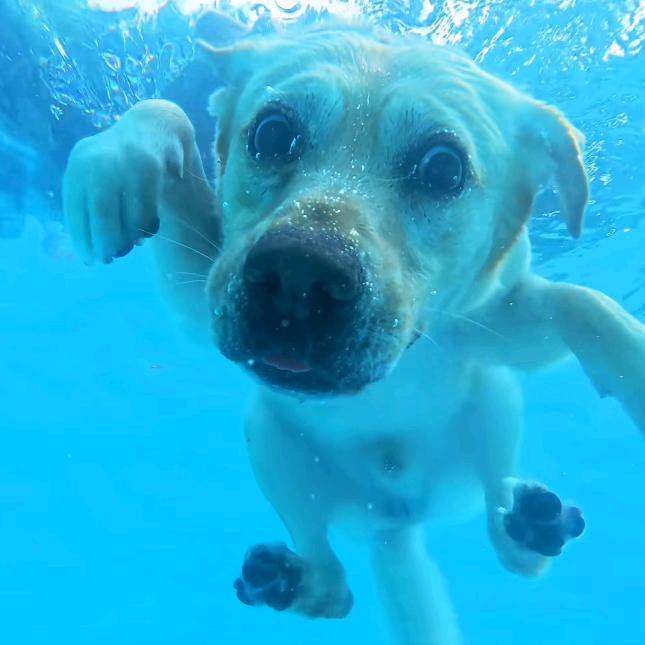 大叔爱打三角洲