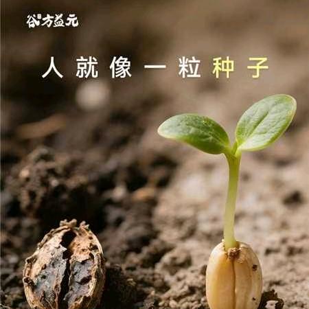 倦鳥於椛