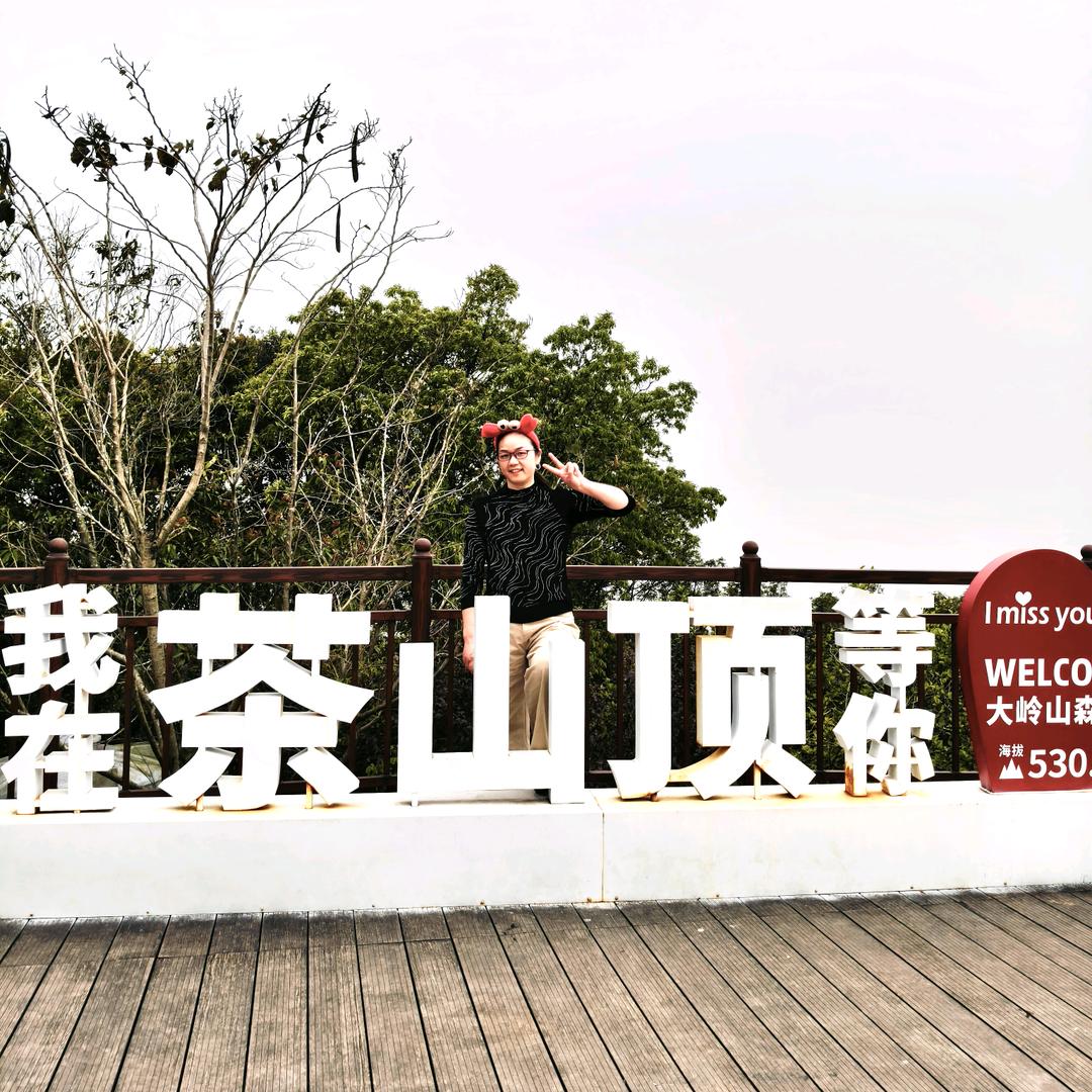 辰辰的漂亮妈妈