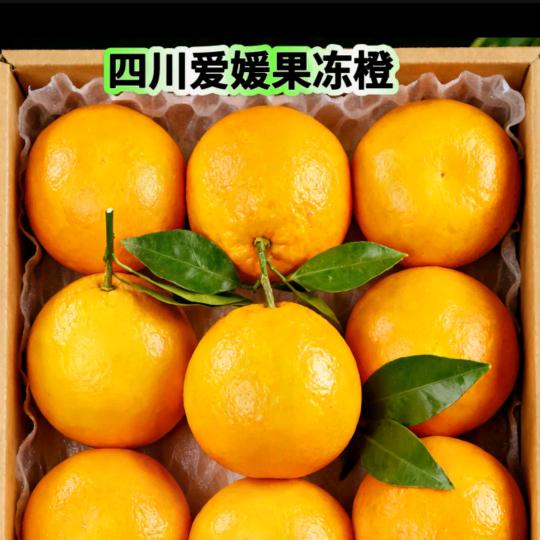橙橙果园