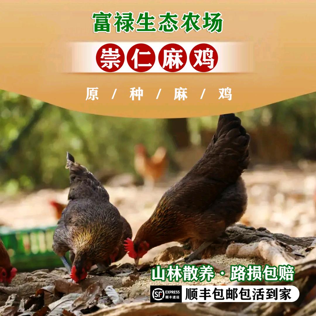 富禄生态农场
