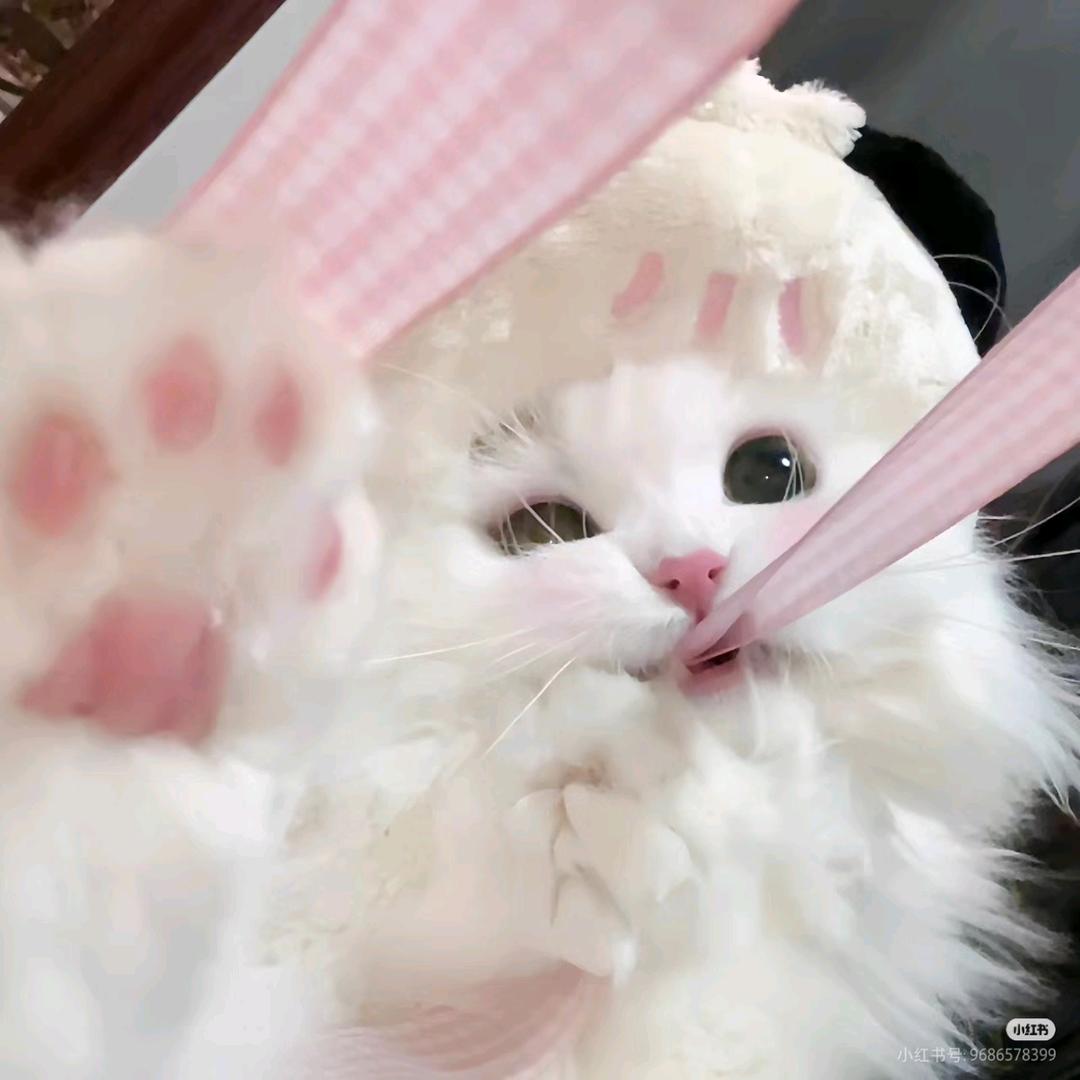 ♡