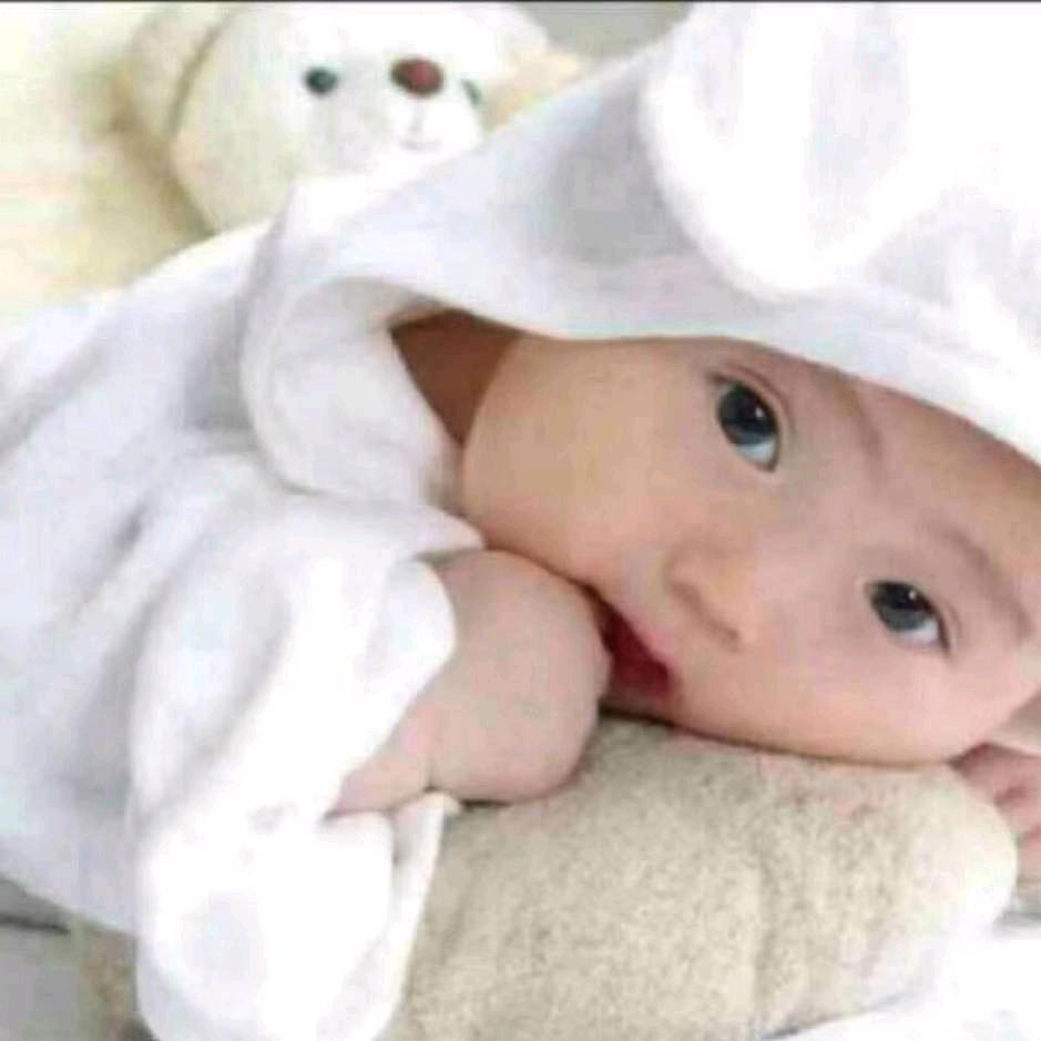 广东华浔品味装饰东营公司冯伟