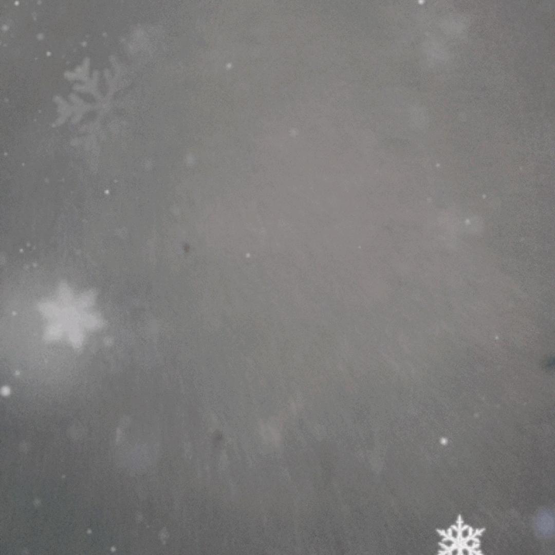 ℳꪶⅈꪊ劉᭱ꦿএ⁵²⁰