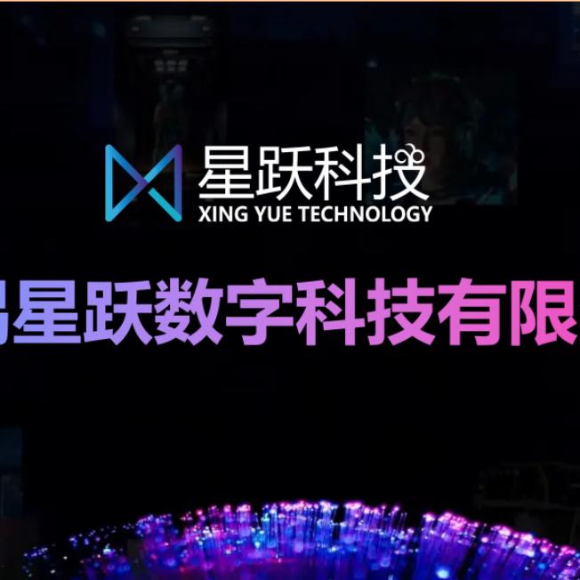 星跃数字科技有限公司