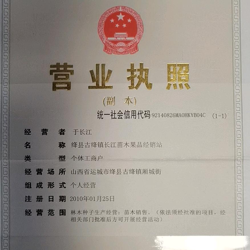 运城长江苗木直供