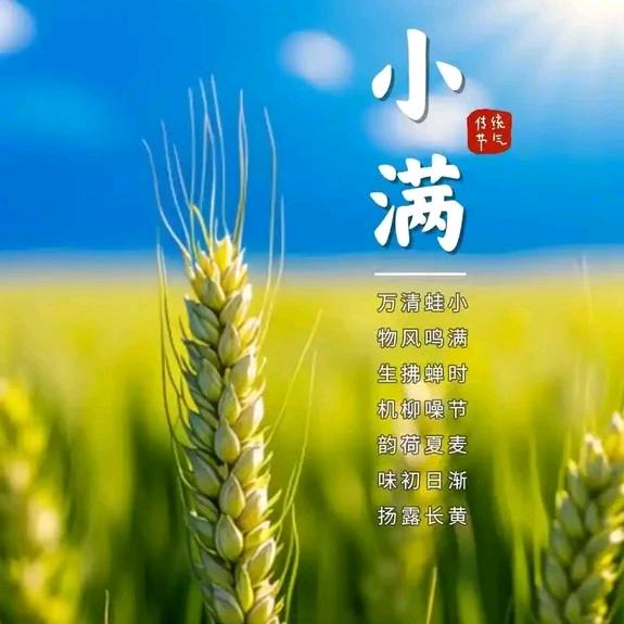 善勇小满