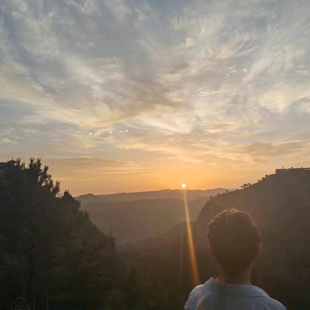 阿狸的白天