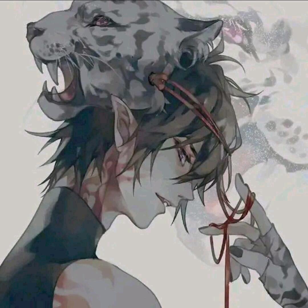 书君