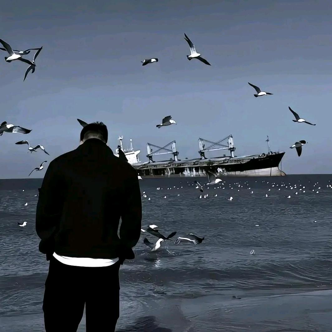 沉宇