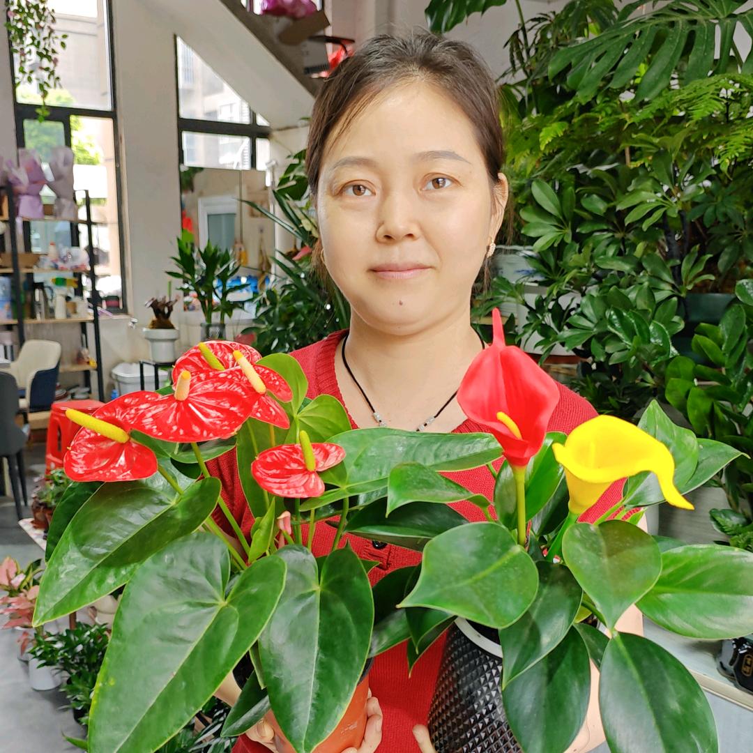 莲姐🌹木子花坊