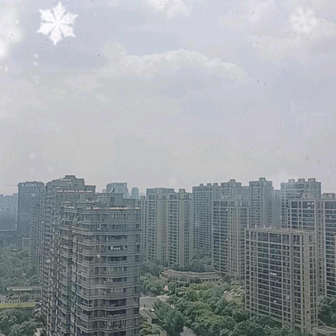 翠花带货2